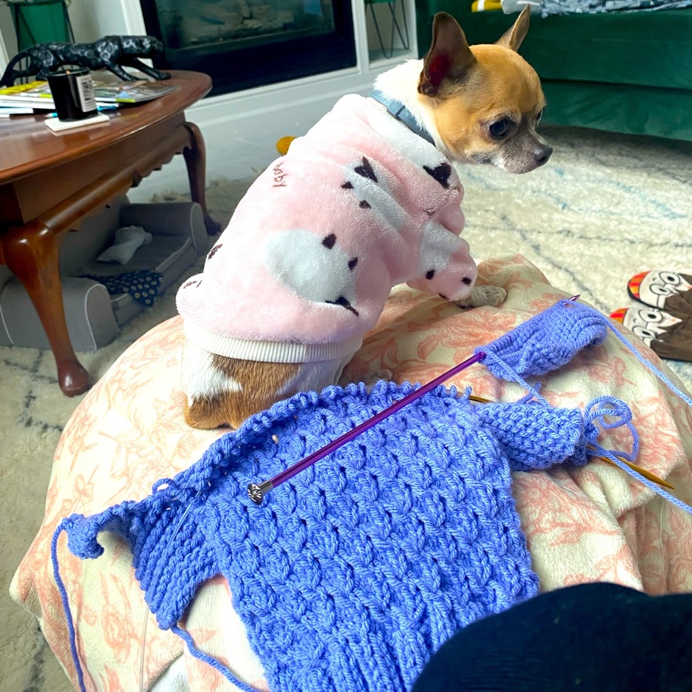 Meet your Posher, Maria